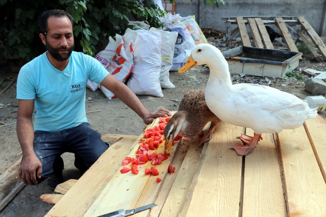 Mobilya ustası ile "Boncuk" birbirlerinden ayrılamıyor